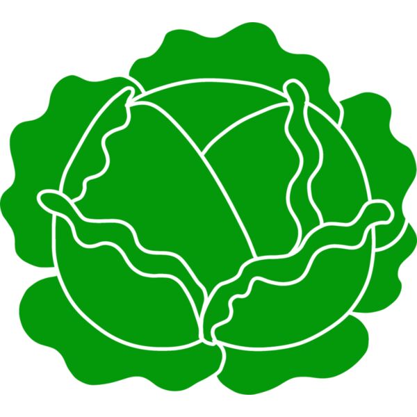 Cabbage Thumbnail